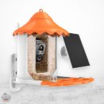 ANNKE Vogelhaus mit Kamera und Solarpanel